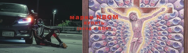 индика Лихославль