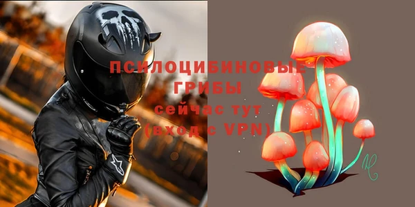 индика Лихославль