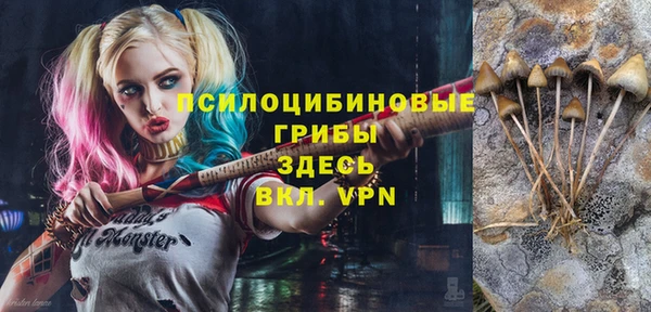 индика Лихославль