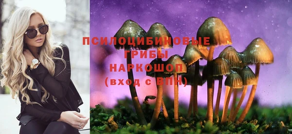 mdma Лагань