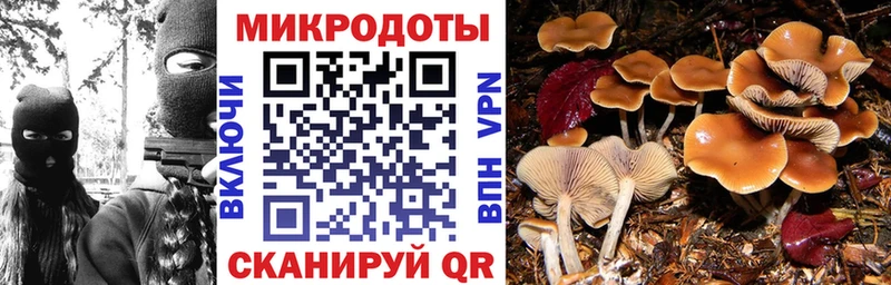 Псилоцибиновые грибы мицелий  Купить где  Навашино 